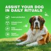 Grass Burn Spot Chews for Dogs Dog Urine Neutralizer for Lawn with Probiotics Enzymes Multivitamins